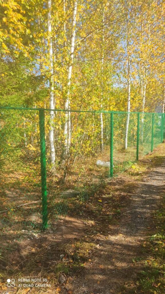 Расчистка участка и деревьев у ограждения