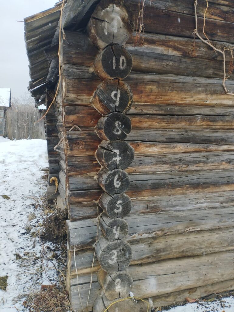 Подготовка древесины и мусора к вывозу